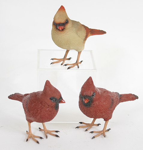 11577 Cardinals