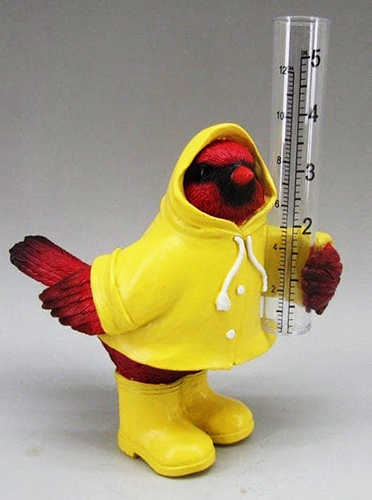 54534 Rain Coat Cardinal Rain Gauge