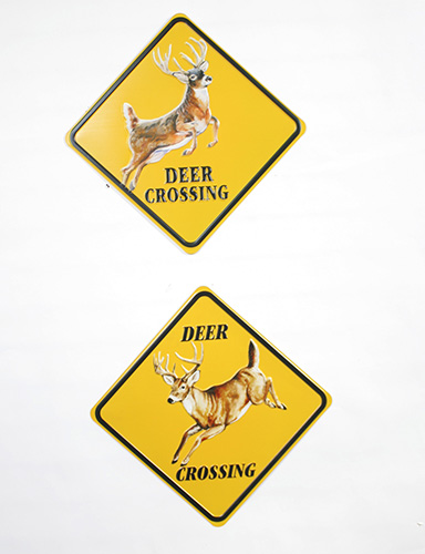 35319 Deer Crossing Signs