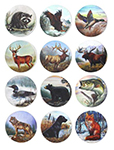 12671 Wildlife Magnets